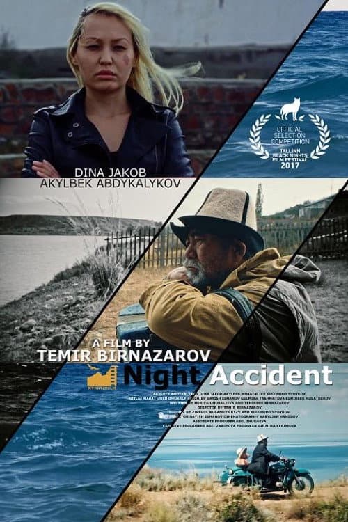 Poster for Night Accident