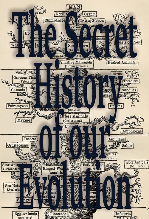 Poster for L'Histoire Secrète de notre Évolution