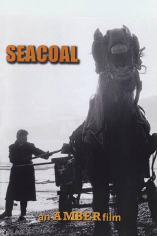 Poster for Seacoal