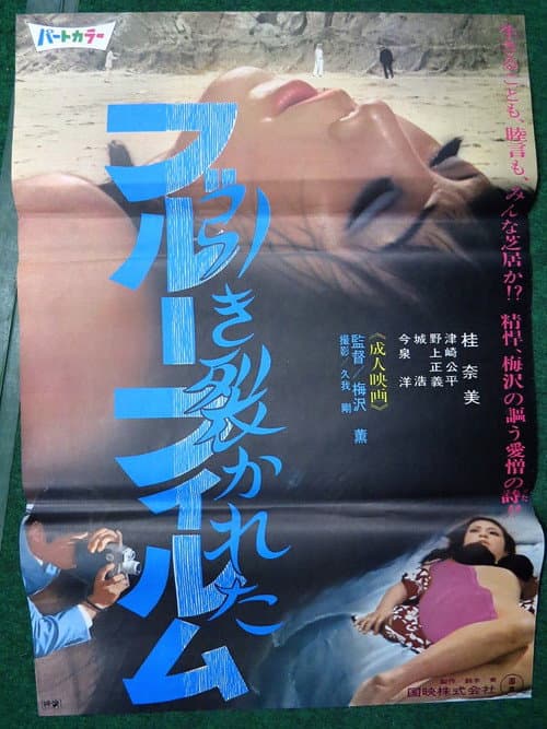 Poster for Hikisakareta burū firumu