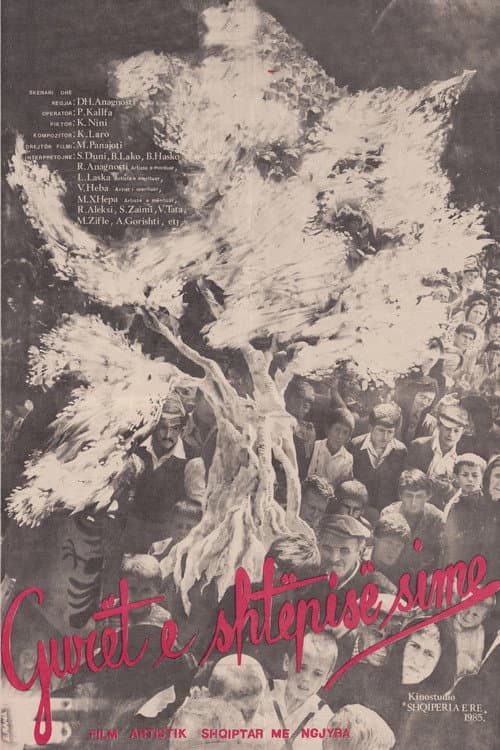 Poster for The Stones of my House