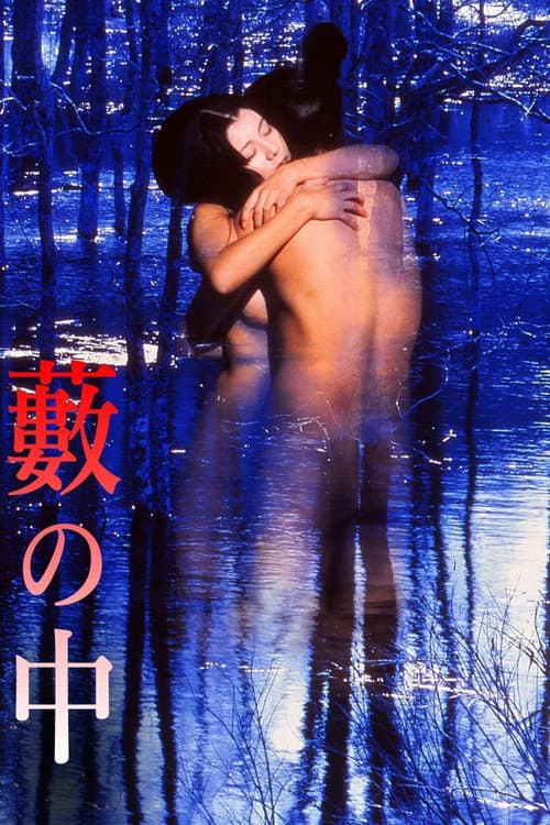 Poster for In a Thicket