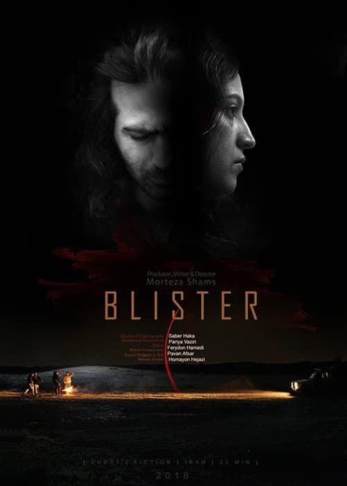Poster for Blister