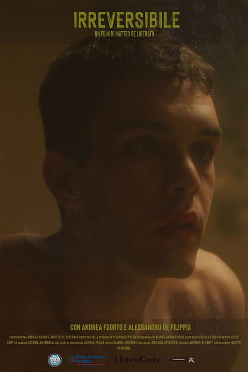 Poster for Irreversible