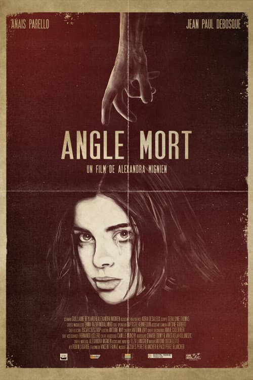 Poster for Blind Spot