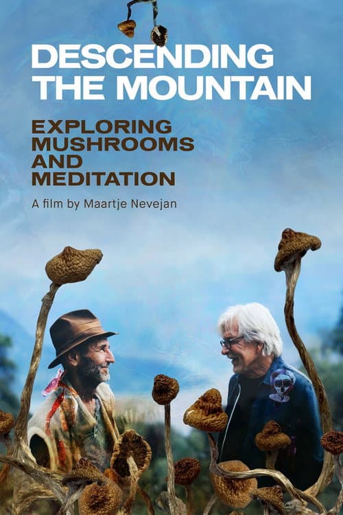 Poster for Descending the Mountain