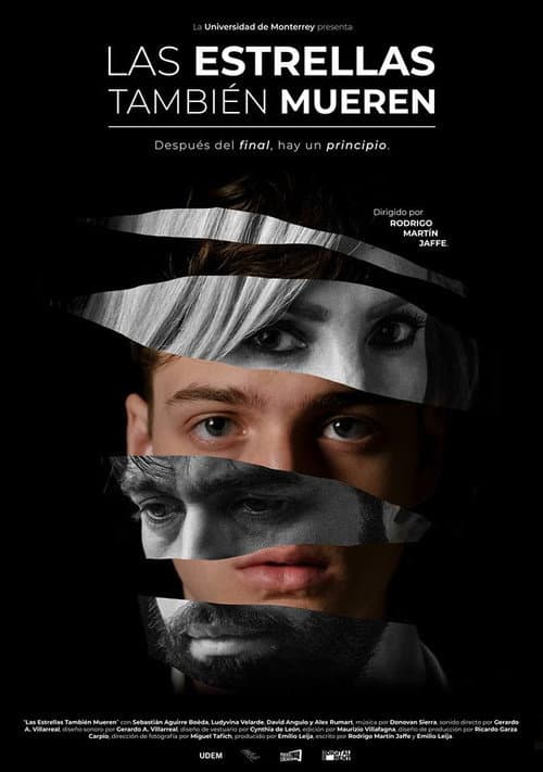 Poster for The Stars Also Die