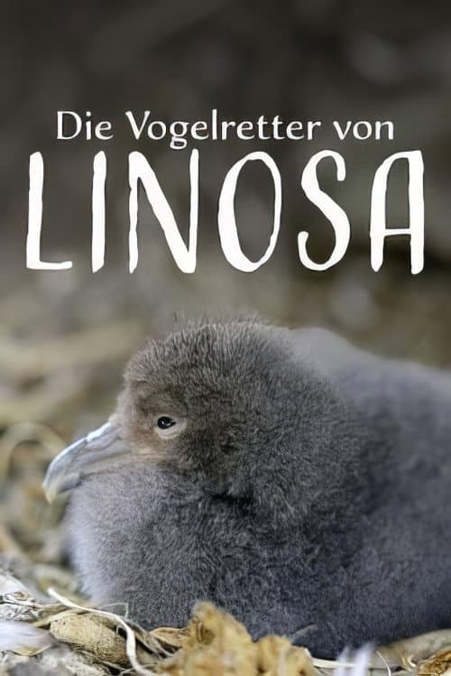 Poster for Die Vogelretter von Linosa