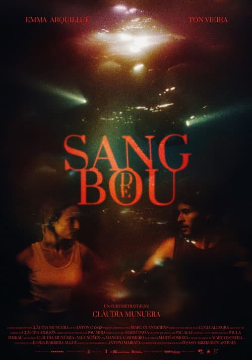 Poster for Sang de bou