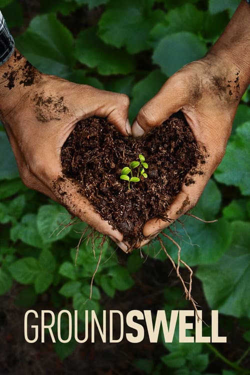 Poster for Groundswell