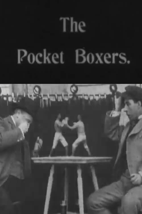 Poster for Pocket Boxers