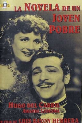 Poster for La novela de un joven pobre