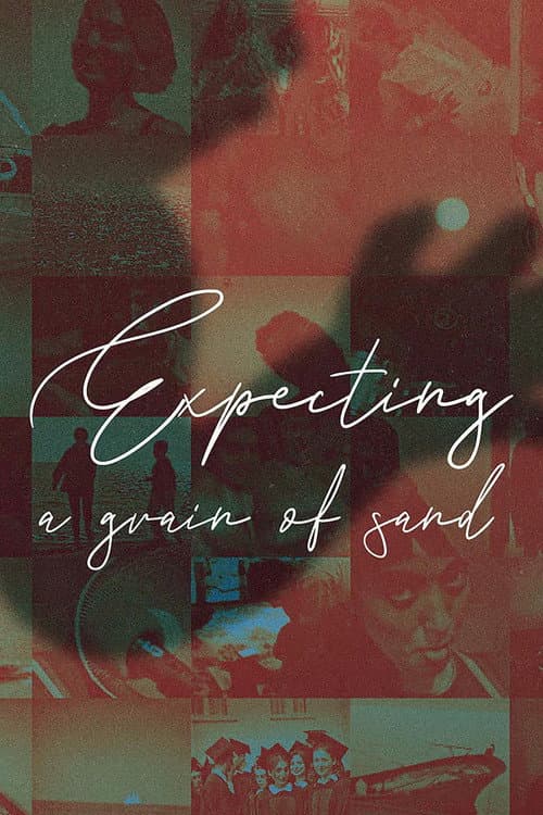 Poster for Expecting A Grain Of Sand