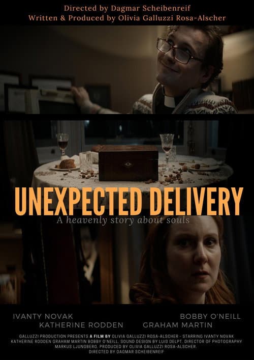 Poster for Unexpected Delivery