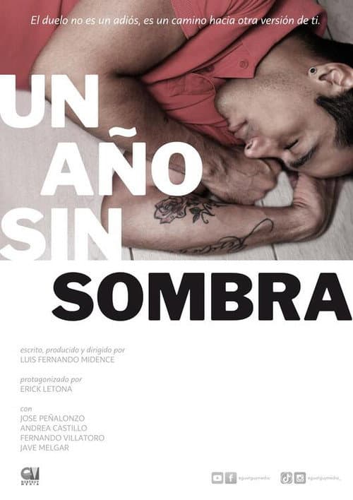 Poster for A Year Without Shadow