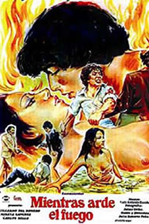Poster for While the Fire Lasts