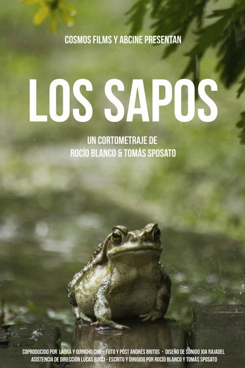 Poster for Los sapos