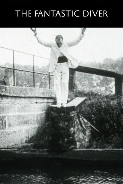 Poster for The Fantastic Diver