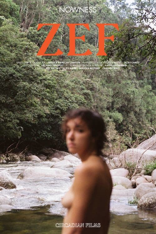 Poster for ZEF
