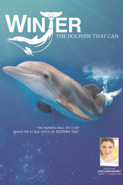 Poster for Winter, the Dolphin That Can