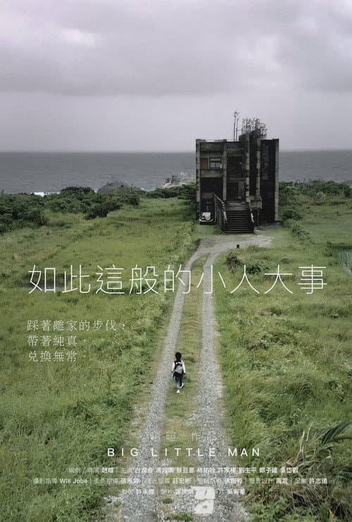 Poster for Big Little Man