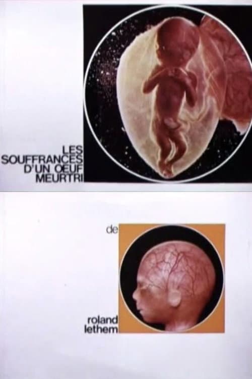 Poster for The Sufferings of a Wounded Egg