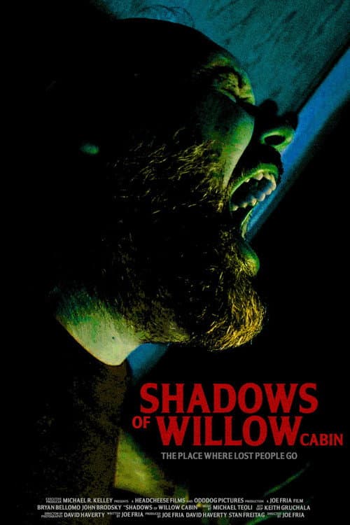 Poster for Shadows of Willow Cabin