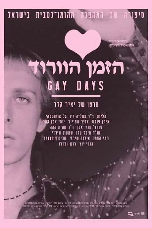 Poster for Gay Days