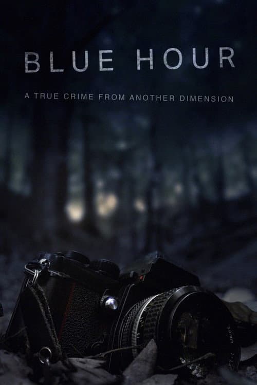 Poster for Blue Hour: The Disappearance of Nick Brandreth
