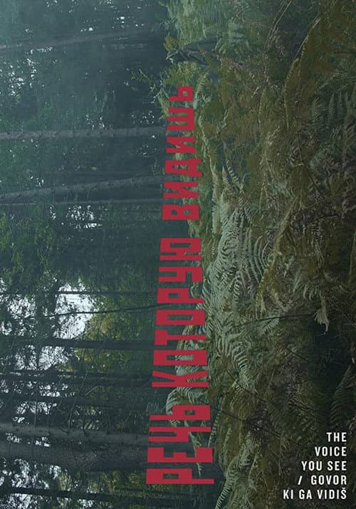 Poster for The Voice You See