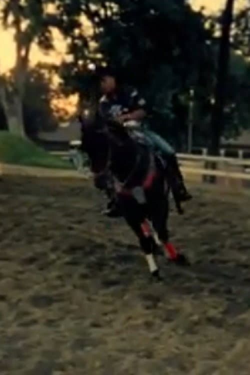 Poster for Vaquero