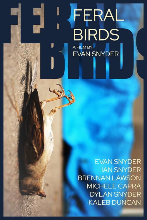 Poster for Feral Birds