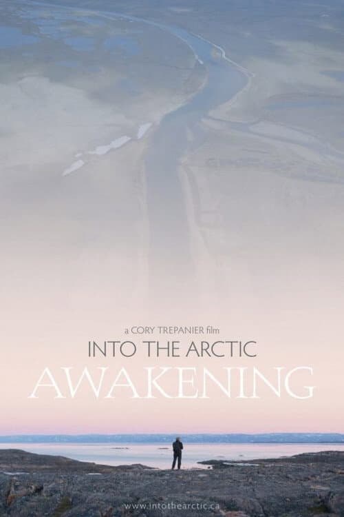 Poster for Into the Artic: Awakening