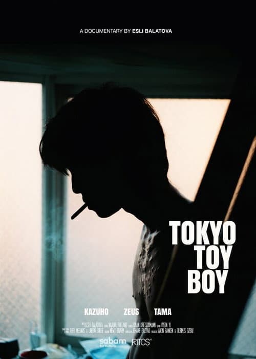 Poster for Tokyo Toy Boy