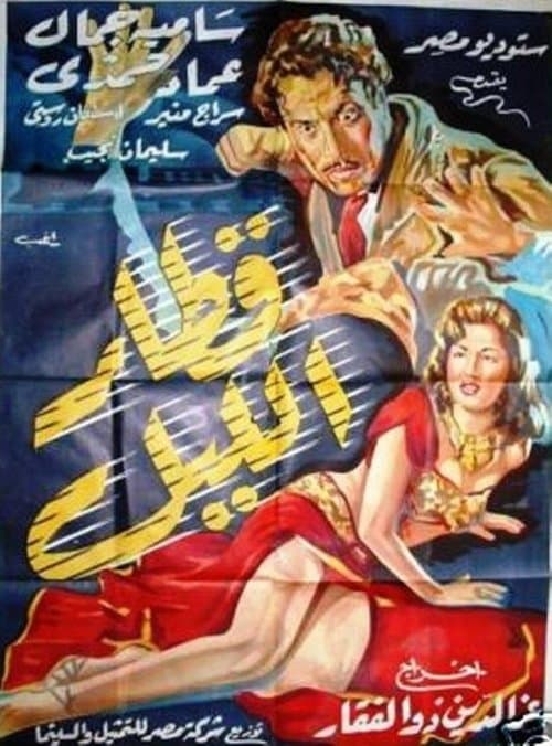 Poster for Night Train