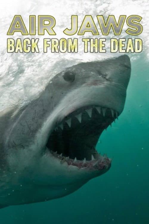 Poster for Air Jaws: Back From The Dead