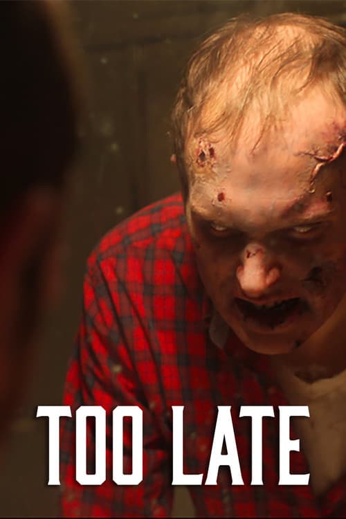 Poster for Too Late