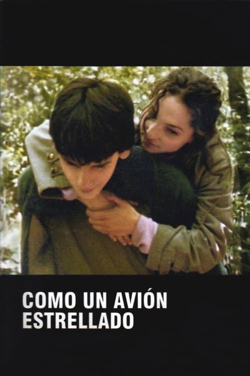 Poster for Como un avión estrellado