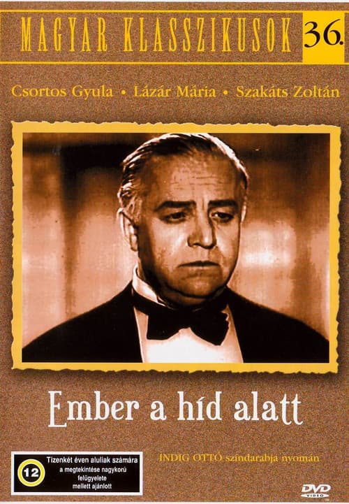 Poster for The Man Under the Bridge
