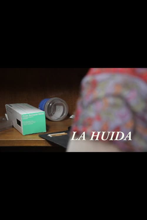 Poster for La huida