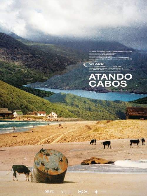 Poster for Atando Cabos
