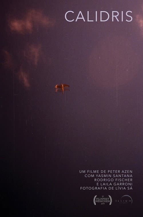 Poster for Calidris