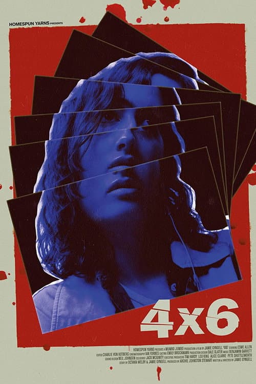 Poster for 4x6