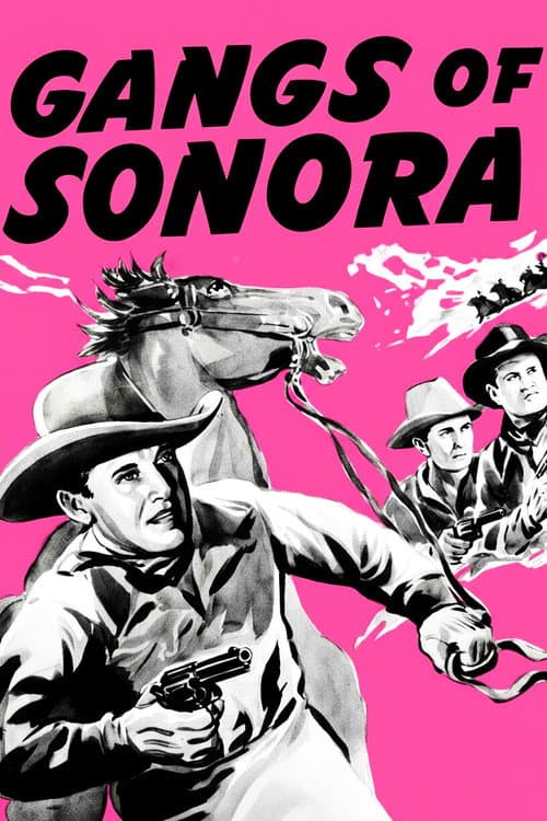 Poster for Gangs of Sonora