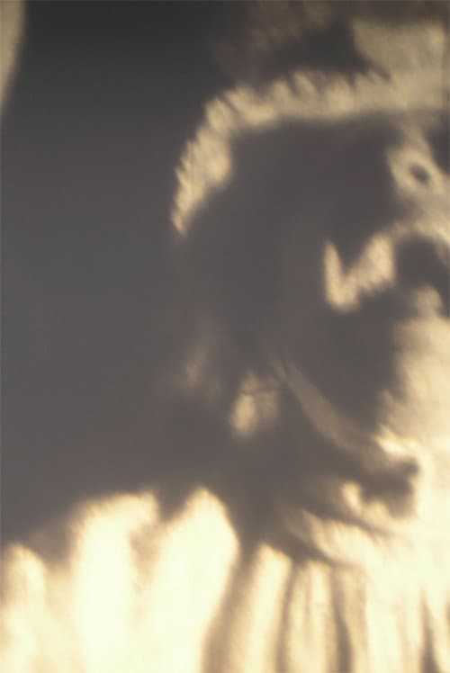 Poster for Overstimulated