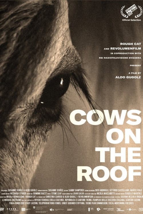 Poster for Cows on the Roof