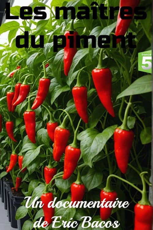 Poster for Les maîtres du piment
