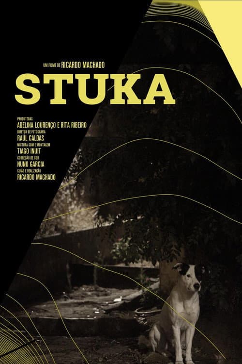 Poster for Stuka