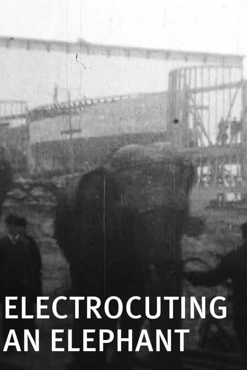Poster for Electrocuting an Elephant
