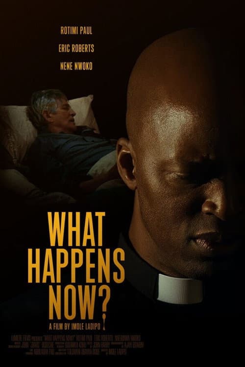 Poster for What Happens Now?